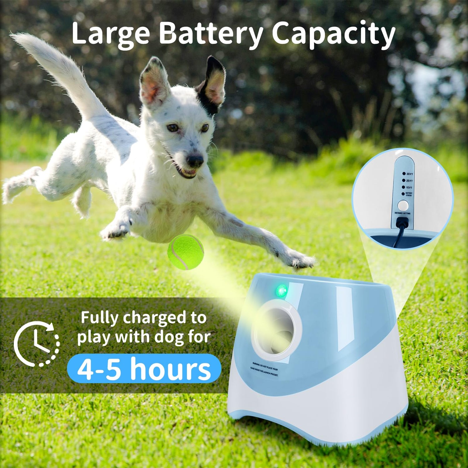 Домашни любимци